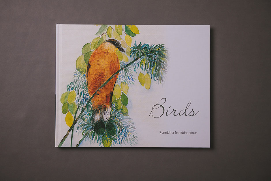 Livre Birds, Fam, impression Précigraph