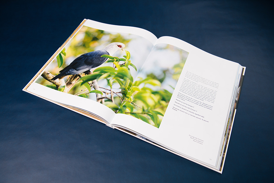 Les Oiseaux de la routes des épices book, Jean Max Galmar, printed by Précigraph